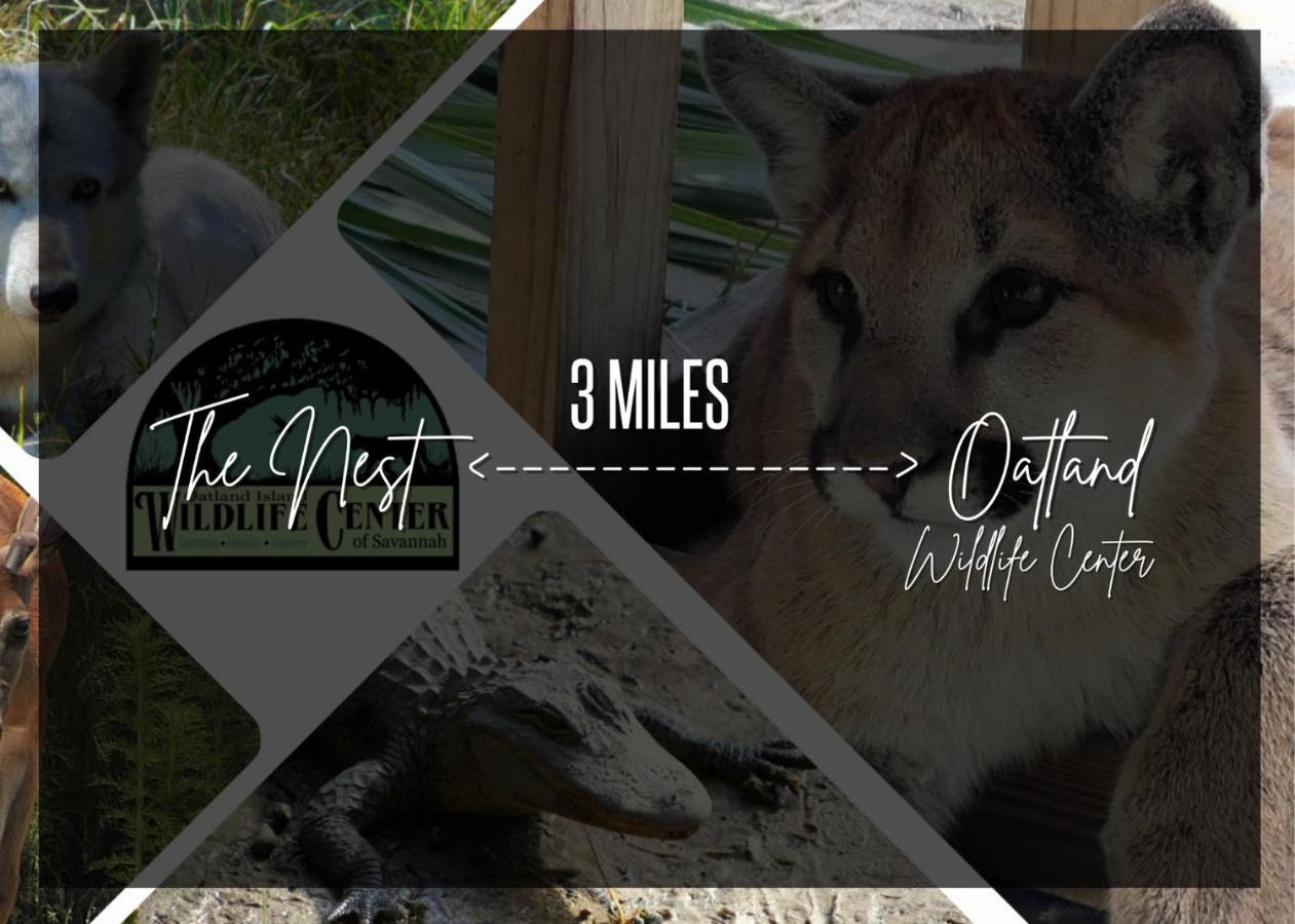 Cozy Oasis 15Min To Dt & Tybee, Home Away From Home - The Nest ซาวานนาห์ ภายนอก รูปภาพ